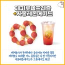 앤티앤스프레즐 이미지