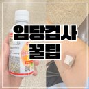 카톨릭대학약국 | 임당검사 시기 비용 금식 수치 결과 높아서 재검 통과 꿀팁은?