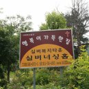 행복이가득한집 Daum카페