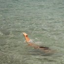 블루메디 이미지