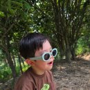 갯마을 진도집 | [지돈지산] 파나크 오퍼레이티드 바이 소노 풀빌라