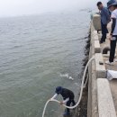 보리수산 이미지