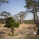 상운농장 이미지