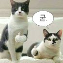 영차스팀 - 강릉시 성덕로 270 | Sniper Elite 5 - 스나이퍼 엘리트 5 플레이 후기~