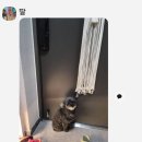 50원 벌려고 나왔는데~~~ 이미지