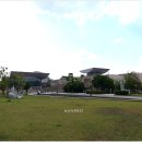 대전엑스포시민광장 Daum카페
