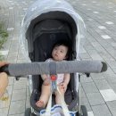 비-오이스터 이미지