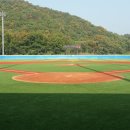 체육공원 야구장 이미지