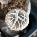 산여울농장 이미지