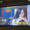 여우야노래연습장 이미지