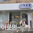 아로멍 | 전주 송천동 애견미용샵 아로멍 예민한 아이도 편안했던 관리 후기
