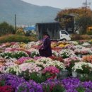 행복샘농장 이미지