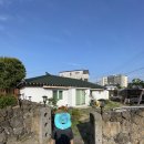 제주청년살이 | [제주 숙소] 협재 제주청년살이