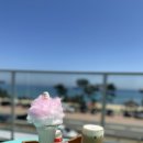 정암토종닭 | 정암 최고의 맛집 ‘정암 토종닭’후기