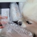 풍년옛날과자 이미지