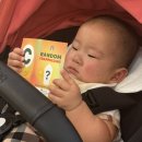 성모어린이집 | 9개월아기 고열 동반 수족구확정까지 과정 증상,동탄성모병원3박4일 격리병동 1인실후기(feat,비용)