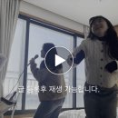 진심가 이미지