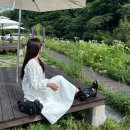리들리 | 발편한샌들 찾는다면? 엘노어(ELNORE) 여자 여름샌들 볼드리들리 추천 후기