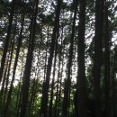 평화농원 이미지