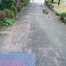 성남제일초등학교 이미지