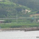 창선교 밑 이미지