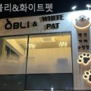 화이트펫#