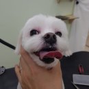 개도만족 이미지