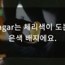 다멜로 이미지