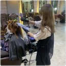 by지유 네이버블로그