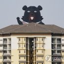 재산보건지소 이미지