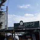 부일산채식당 | 평창 블루리본 맛집 산채백반, 황태구이, 더덕구이 먹고온 ‘부일식당’ 내돈내산 간략 후기