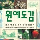 원예마주 이미지
