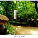 옹기장터 이미지