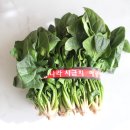 바담 이미지
