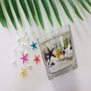 바다 품은 석고 방향제 이미지