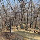 고강선사유적공원 이미지