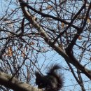 우면산3-23 이미지