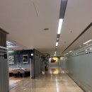 G00165 | [유럽 자유여행 5편] 🇮🇹로마 1일차, 부엘링항공, 로마숙소추천, 로마 맛집,사기당할뻔한ssul, 바티칸...