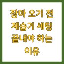 장마 오기 전 제습기 세팅 끝내야 하는 이유