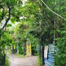 사파동284 | 창원 옻 오리 / 백숙전문점 하얀농장 위치 및 가격