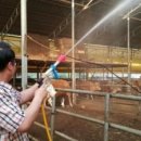 토고미농장 이미지