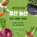 청산유통 이미지