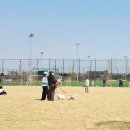 서수원체육공원 이미지