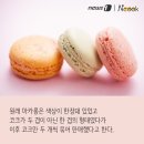 스토리쿡 이미지