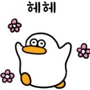 베리코스 이미지