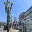 사파동184 이미지