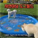 마당 | 단독 애견카페 자연마당 도그필드 내돈내산 후기