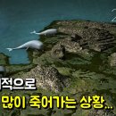 고래PC방 이미지