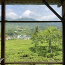 CU하동악양점 | 하동 뚜벅이 1박 2일 여행 1일차 (하동역-매암제다원-최참판댁-한옥펜션)