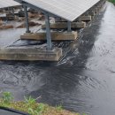 제일좋은 태양광발전소 이미지